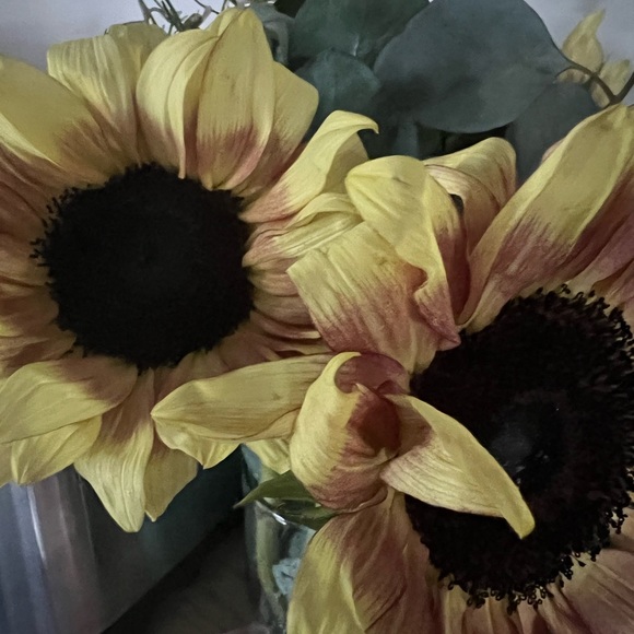 Hello there! - Picture 2 of 2